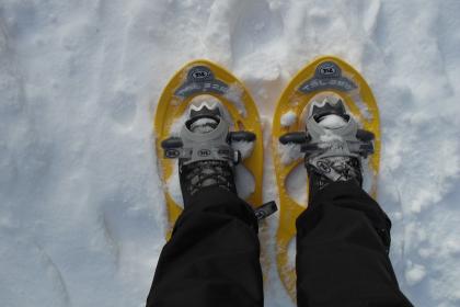 Neue Herausforderungen für junge Erwachsene